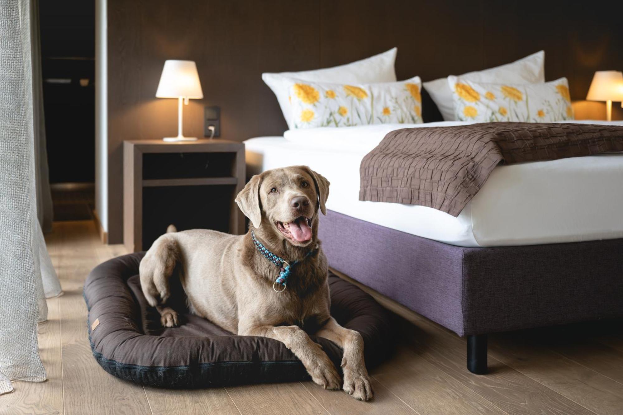 Golfhotel Gut Neuenhof Fröndenberg Εξωτερικό φωτογραφία